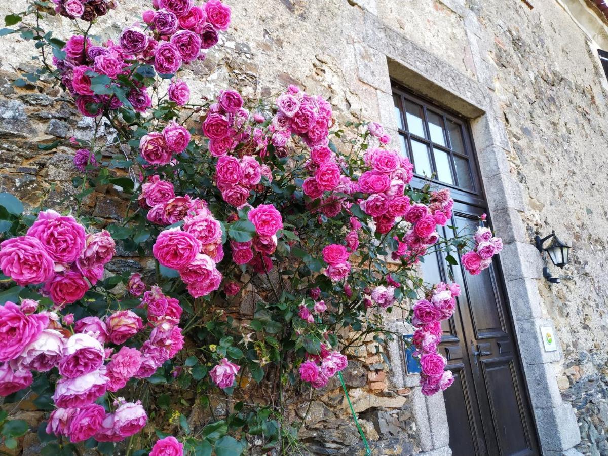 Chambre D'Hote Manoir De La Baudonniere Monsireigne ภายนอก รูปภาพ